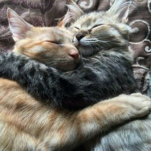 Meet your Posher, Keemie